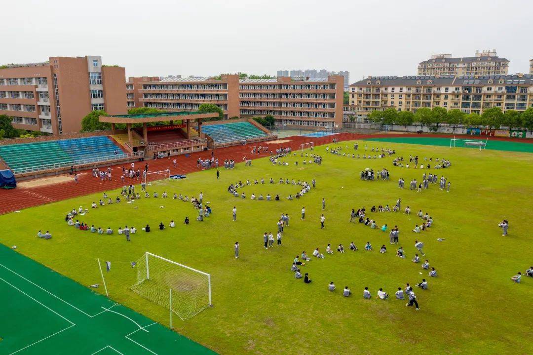 浙江省桐乡第二中学图片