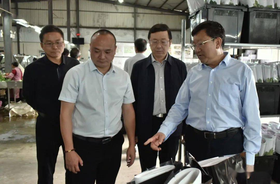 杨正晓率市人大调研组到我县调研_花卉_产业_发展