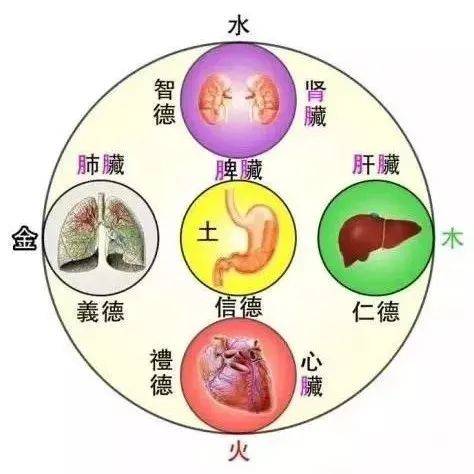 每日小知识:气血亏虚的表现_血色_荣清_嘴唇