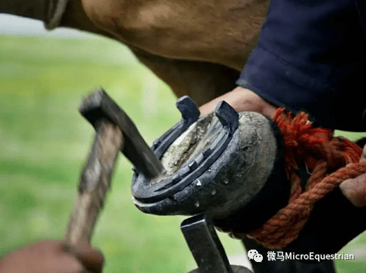 马不装铁蹄会怎样