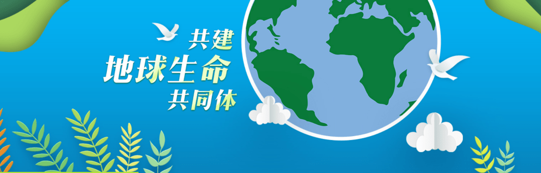 和谐相处共同构成了丰富多彩的美丽世界如此多样的生命……以及无法用