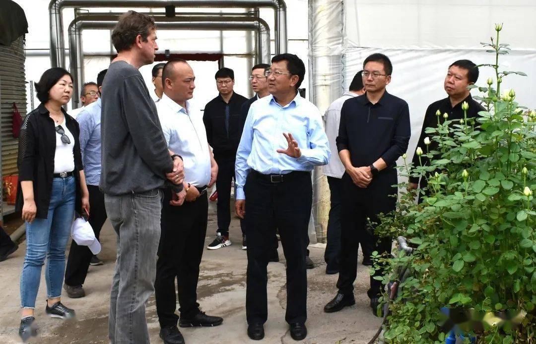杨正晓率市人大调研组到我县调研_花卉_产业_发展
