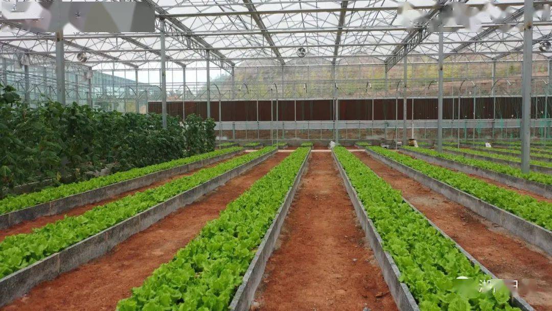 当地工作人员抱怨,联系上刘伟庚不容易,电话经常打不通,人也时常玩"