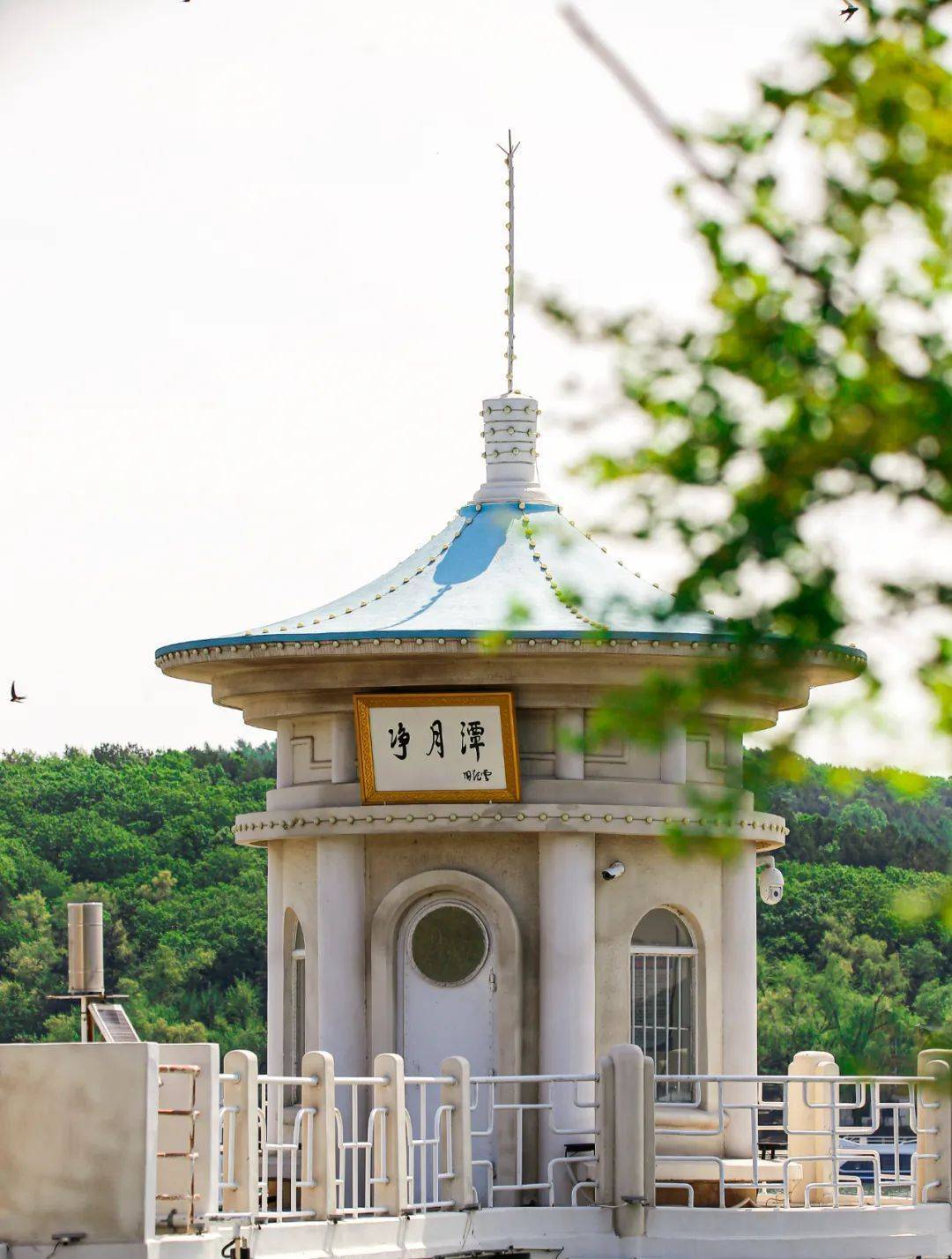 中国旅游日 | 一起感受长春的大美盛夏