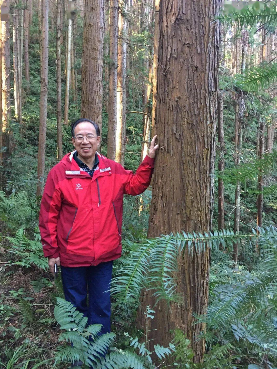 福建林业改革发展20年突出贡献个人施季森