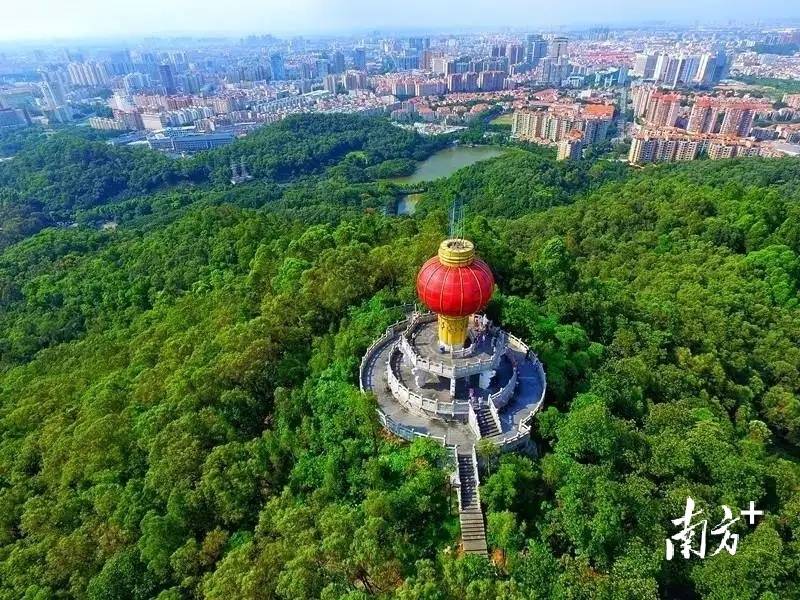 多图|来东城旅游吧!这里吃喝玩乐样样有_东莞市_公园_生态