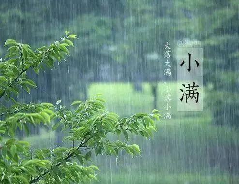 也有的地方忌讳小满这天不下雨,就像谚语说的"小满不满,麦有一险","小
