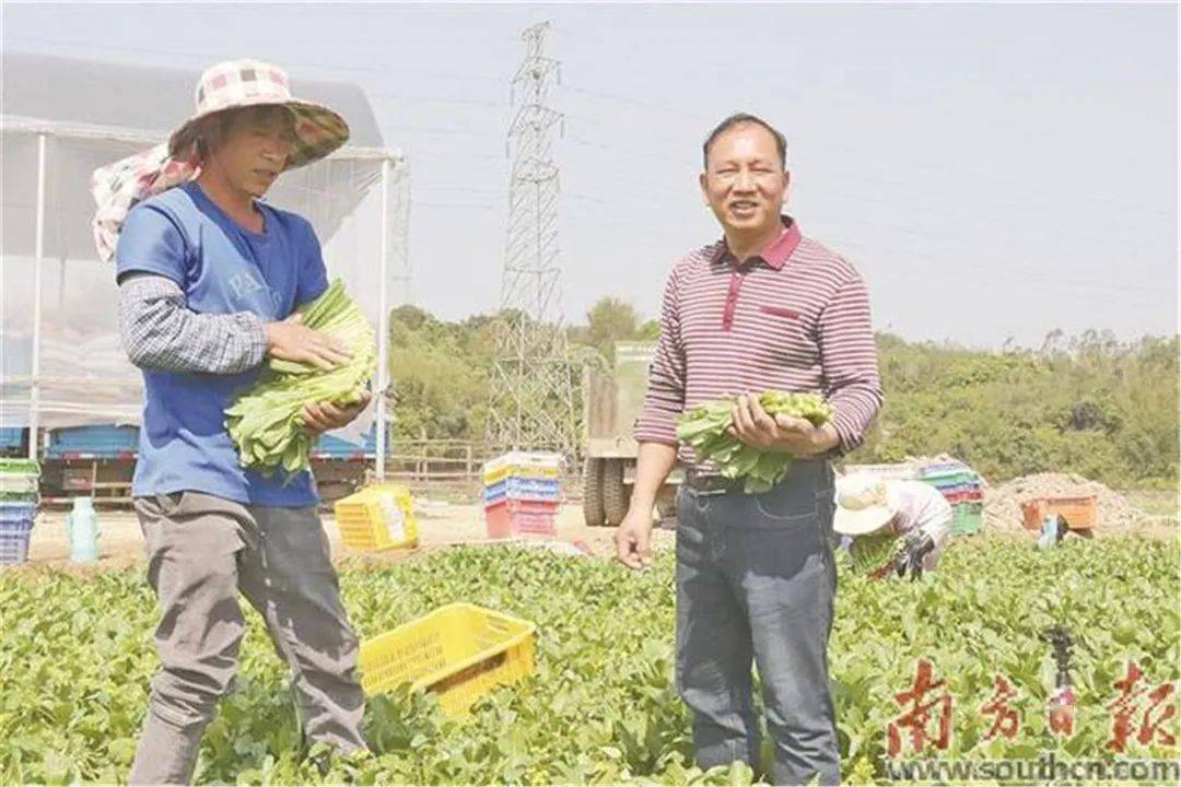 隨著蔬菜基地規模的不斷擴大,小梅村基地獲得了縣農業農村局的扶持