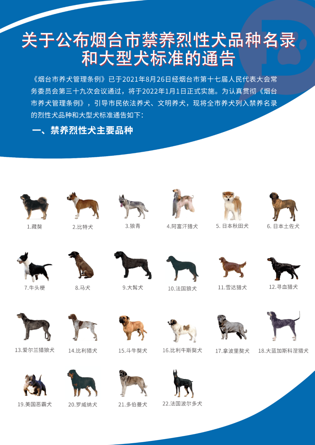 重庆禁养犬2022图片