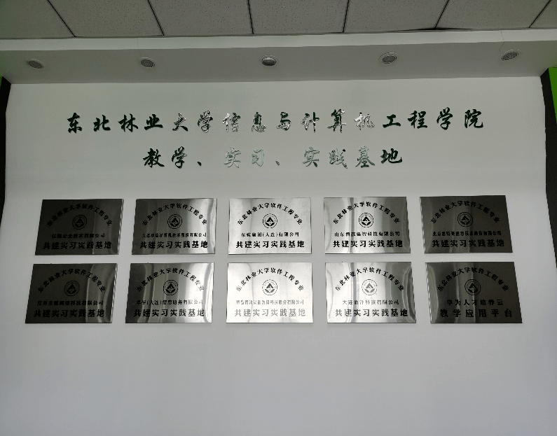 文章配图-11