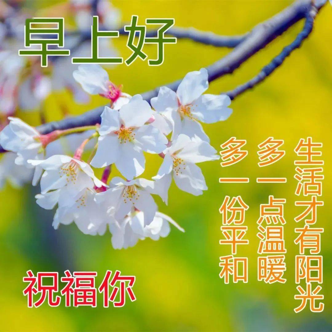 朋友最新日常祝福語動態圖片表情包問候語,慰問早安的圖片帶字話語