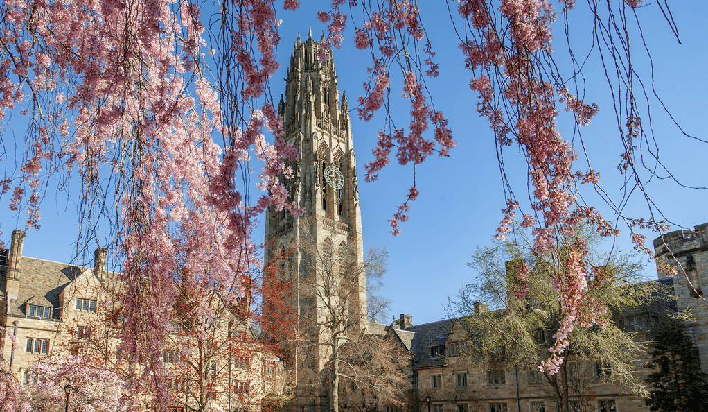 耶鲁大学 校园风光图片