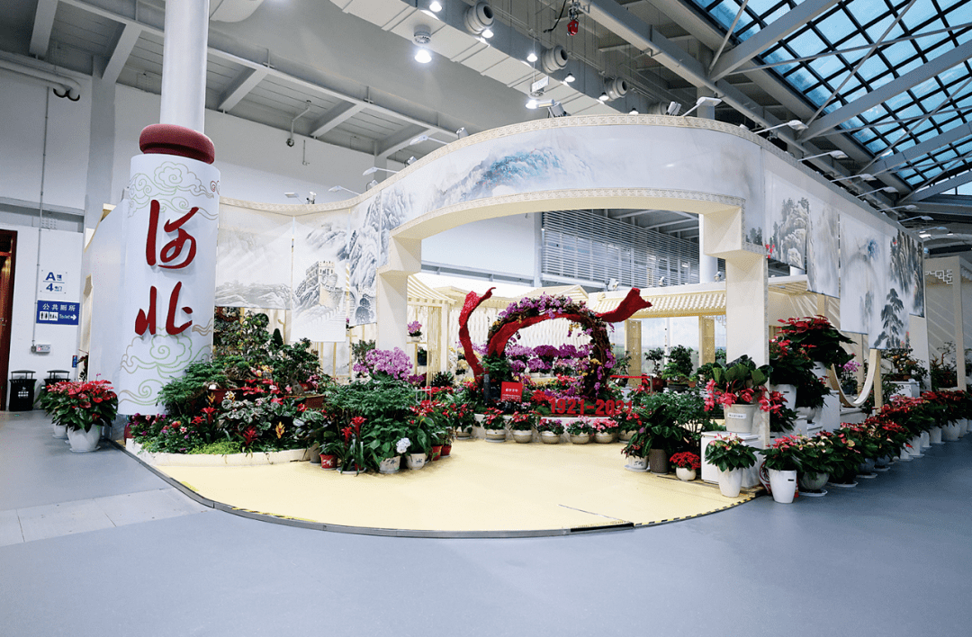 去年今日第十届中国花博会在崇明开幕