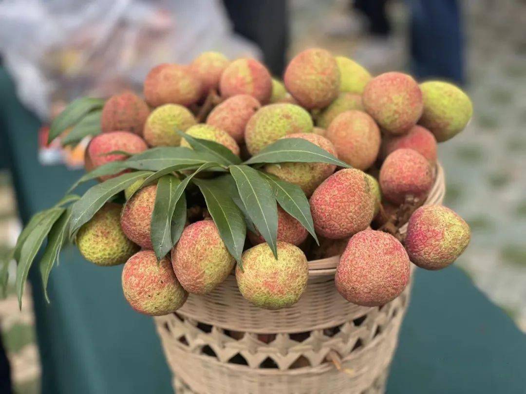 钦州历来是广西水果生产大市,也是全国重要的水果生产基地,现有水果