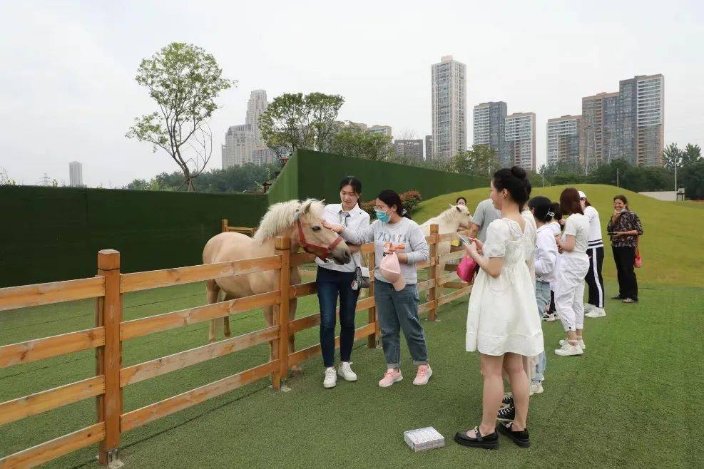 在文化中心參觀規劃沙盤來到東方馬城文化展示中心,市民朋友饒有興致