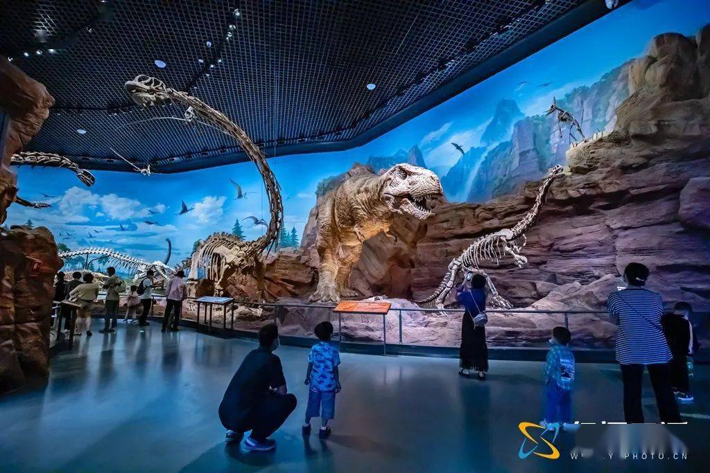 抚仙湖化石博物馆图片