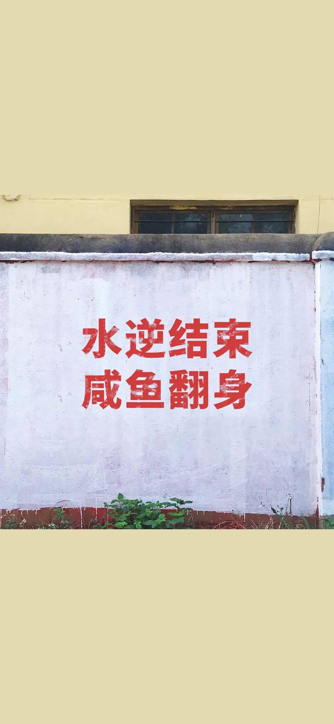 微信壁纸认清形势放弃幻想