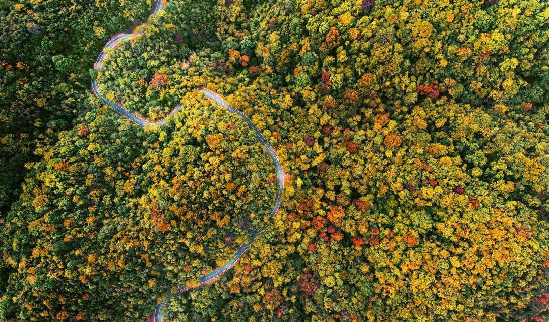 首个江西省林业生物多样性保护公报新鲜出炉一起来看看这份美丽江西