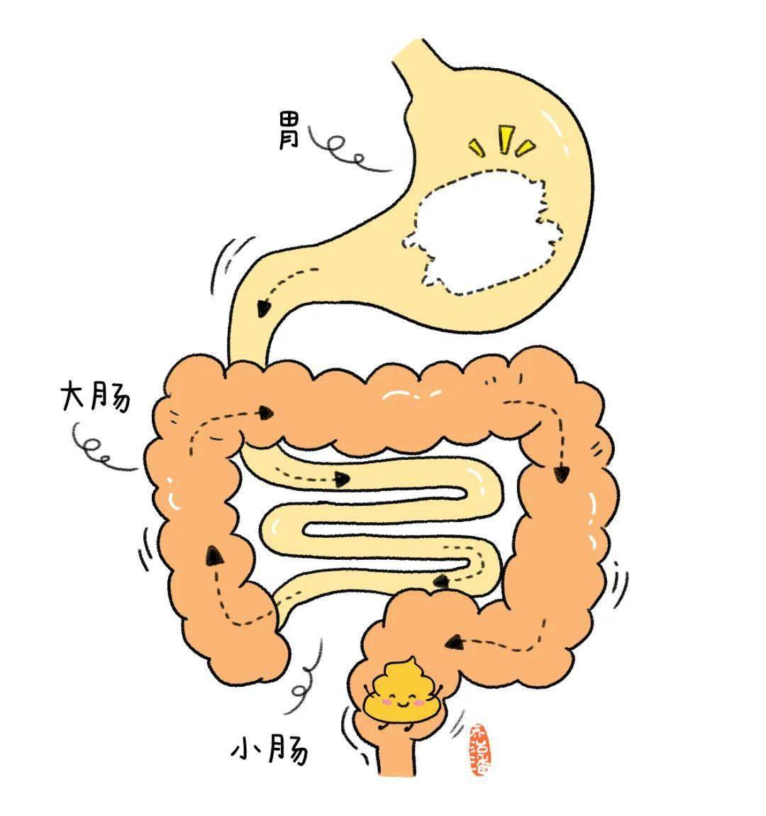 一张图让孩子认识"便便"_幼儿_绘本_乔智