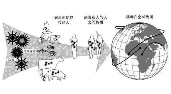 寄生虫等)引起,流行病学上相互关联,在人类与动物之间自然传播的疾病