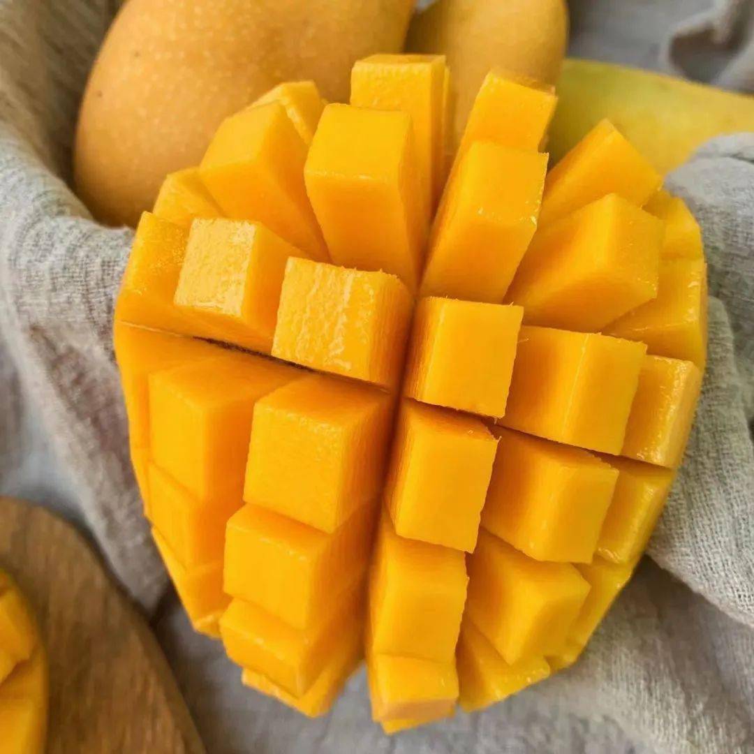 个头超大的海南金煌芒核薄如纸一口咬下超满足