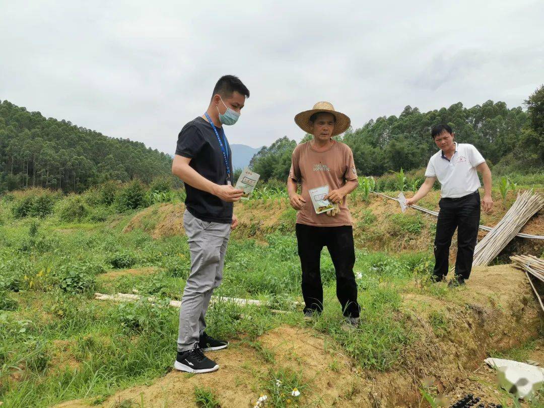 英德一鎮利用大喇叭,宣傳橫幅等手段告訴村民如何防控紅火蟻.