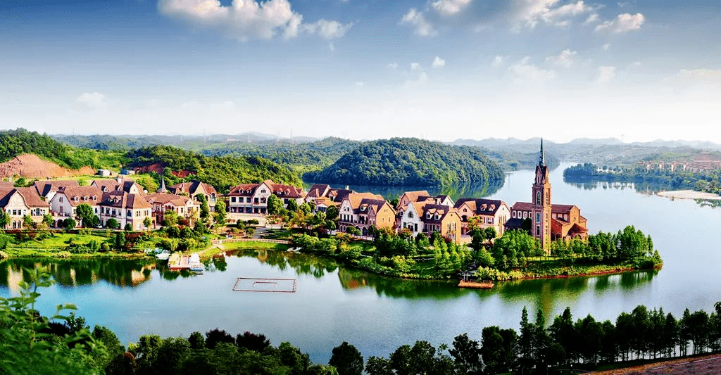 浏阳_的花海_花丛