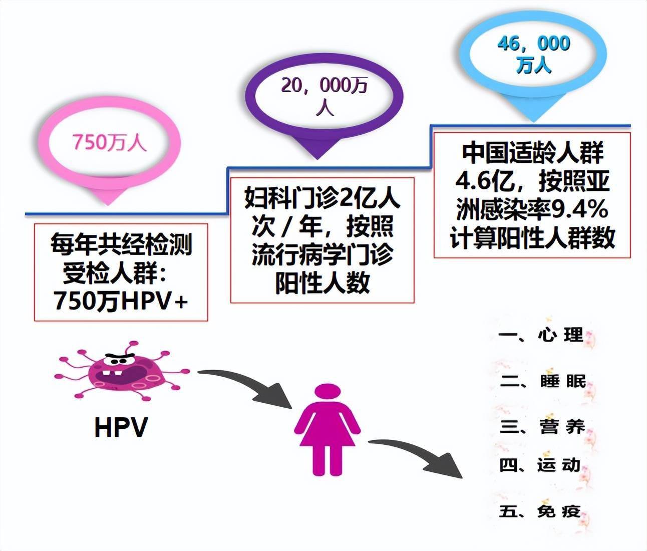 hpv感染者综合管理方案-人文关怀向患者讲述hpv发病原因,传播途径,做