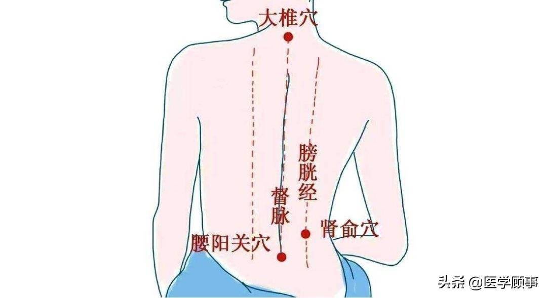 按摩膀胱经能治愈13种病