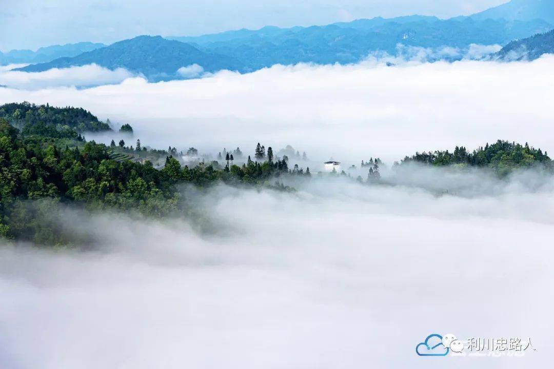 利川云雾山水图片