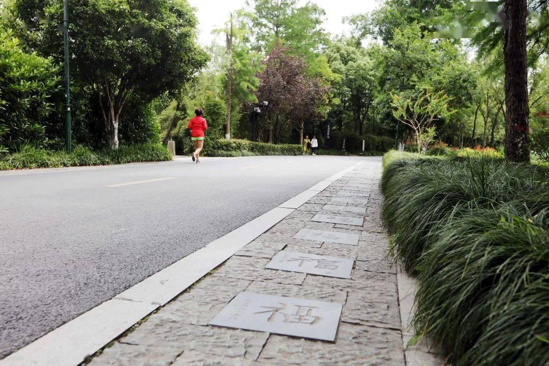 创建美丽杭州西溪湿地颜值大提升福堤路面焕新颜