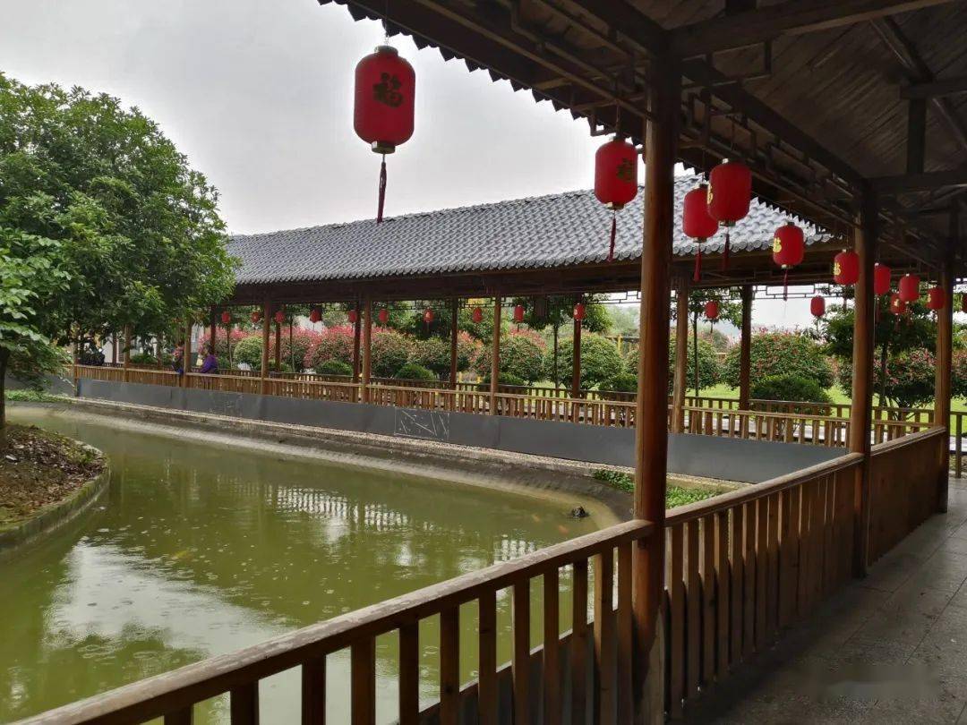 龙凤庄园61栀子花61雪阳印记雪魄冰花风牵影孤姿只为妍外净67