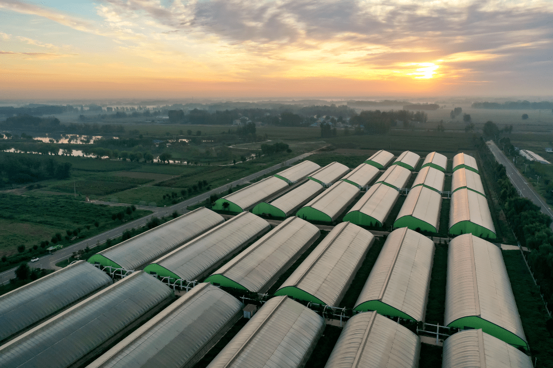 我市三个基地入选山东省巾帼现代农业科技示范基地