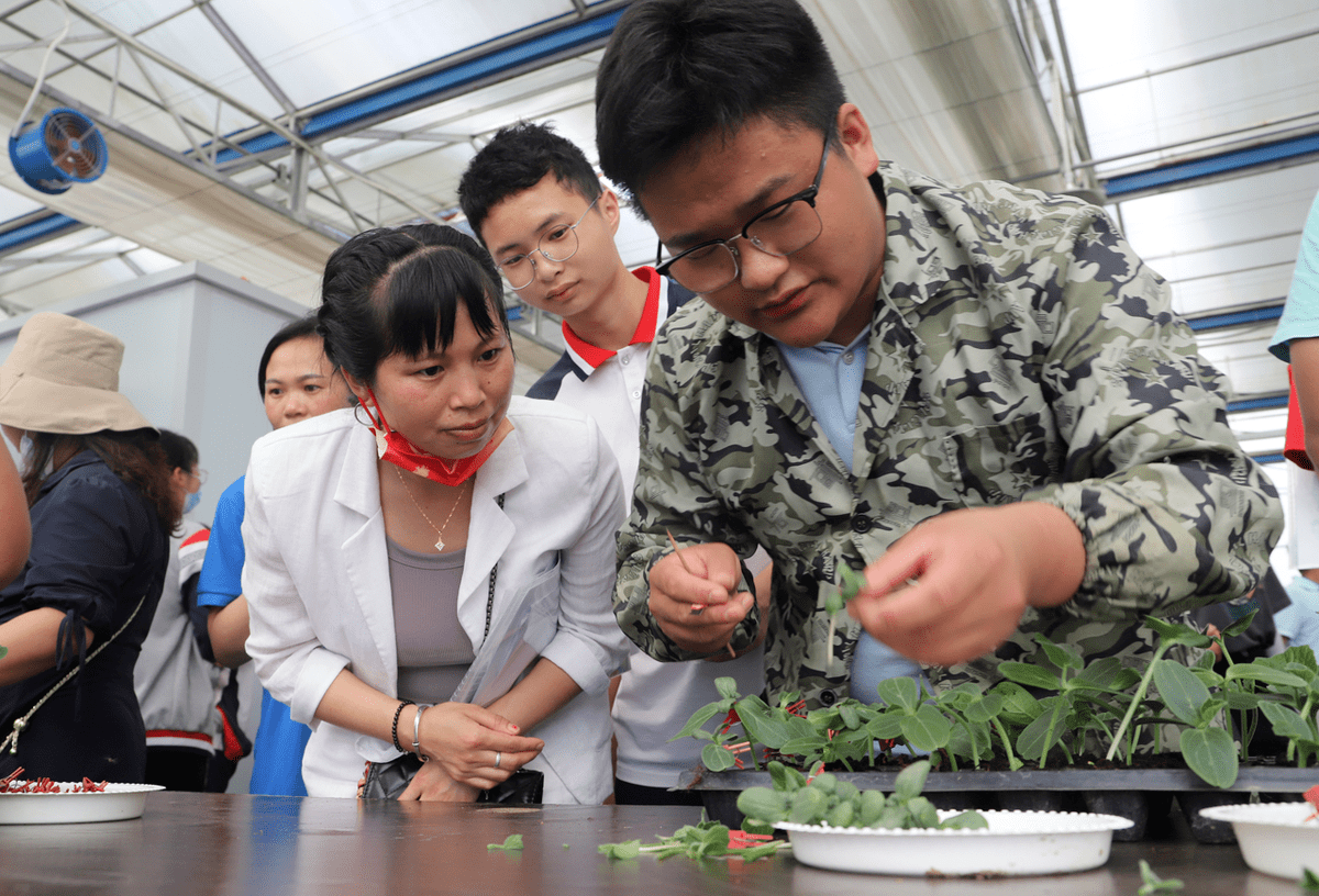 职教活动周 赋能新征程_长阳_系列_技能