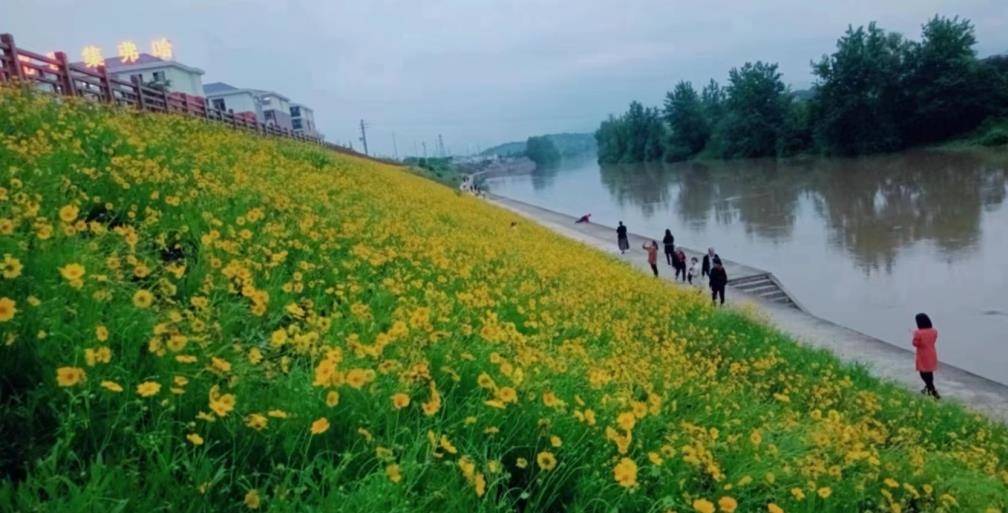 祁阳市“花海”幸福河 引来八方客