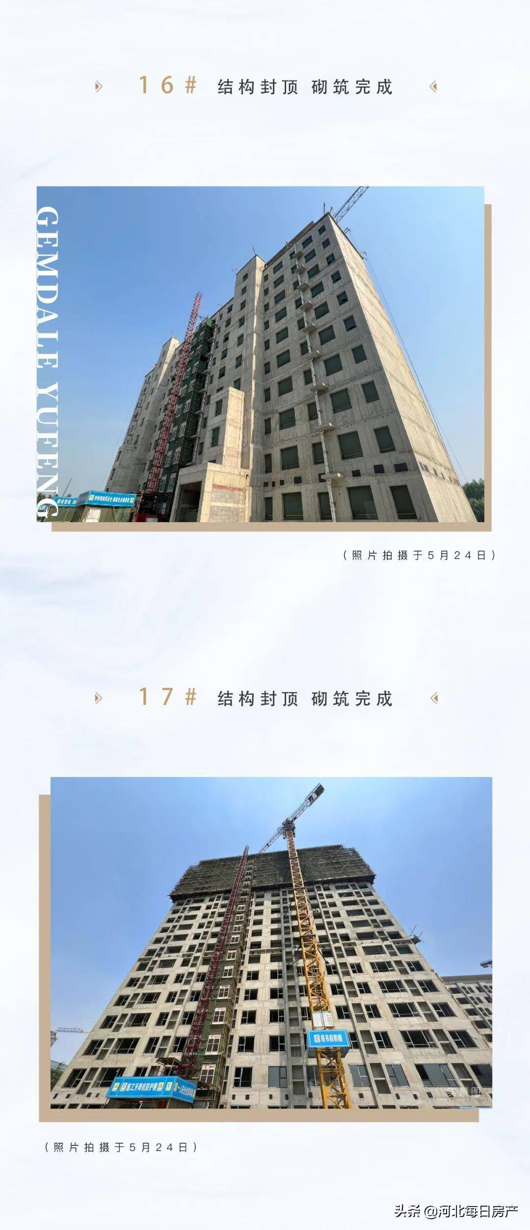 峯鉴家音丨金地御峯5月工程进展播报_手机搜狐网