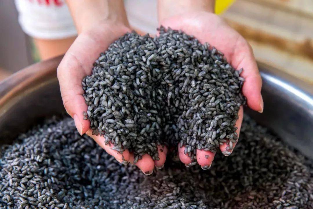 端午将至河池这家粽子已卖爆了还好跟老板娘熟留了些手不快还真吃不到