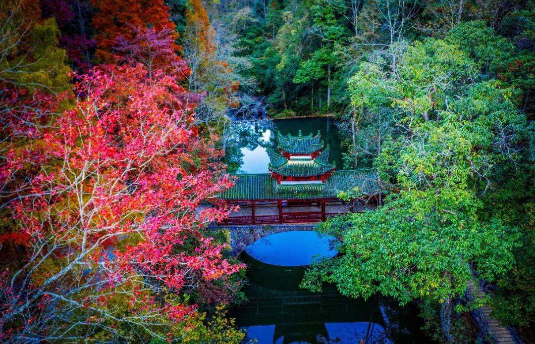 镜头下的将乐龙栖山到底有多美进来看看