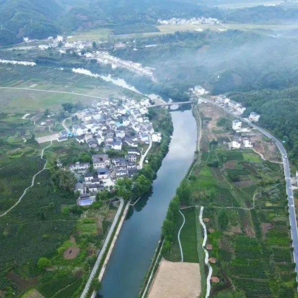 全国茶乡旅游精品线路!祁门1条!_茶园_踏青_避暑