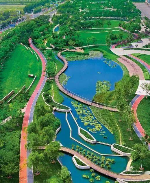 生态城公园建设迎来新进展打造鸟语花香幸福之城