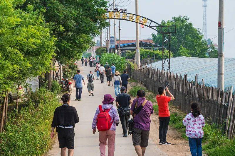 盖州市双台镇黄旗堡村图片