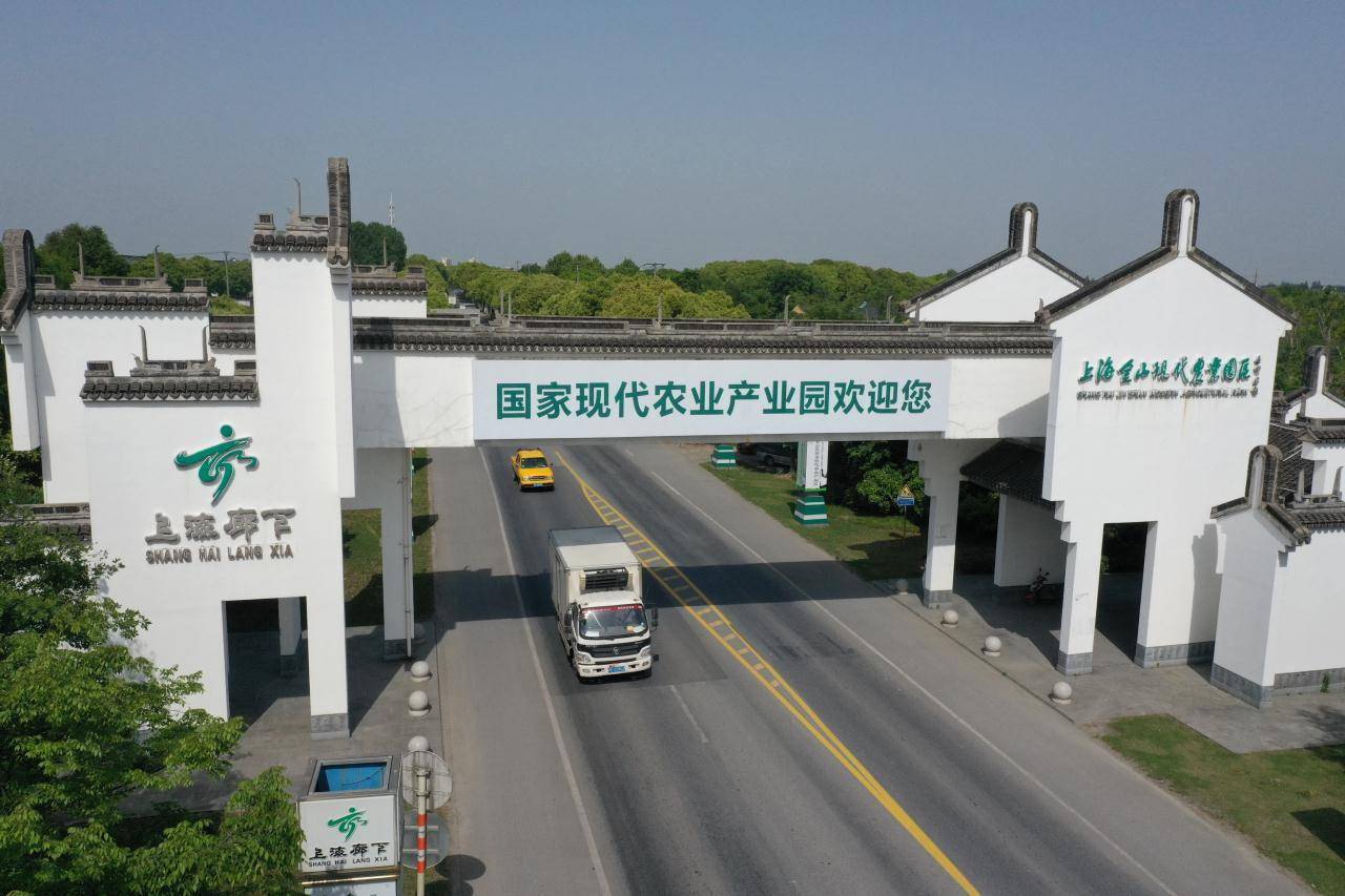 作为上海市远郊的纯农地区,金山区廊下镇是国家现代农业产业园,也是