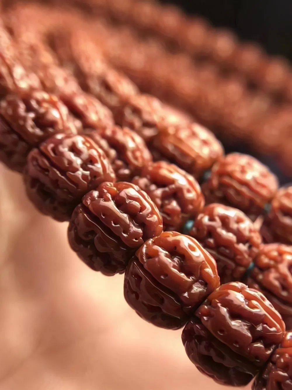 成就牛筋红的金刚菩提先天资质和后天资质缺一不可