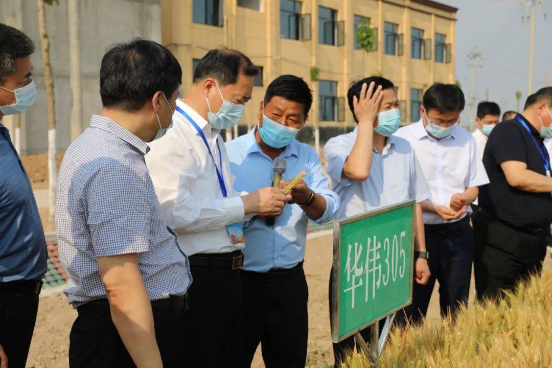 商丘市人大常委会副主任刘彦华到我县调研河南省高标准粮田保护条例