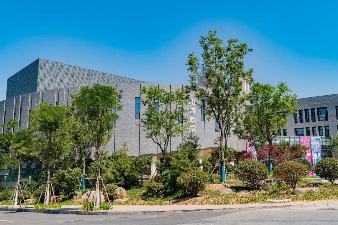 山东青年政治学院2022年普通高等教育招生章程