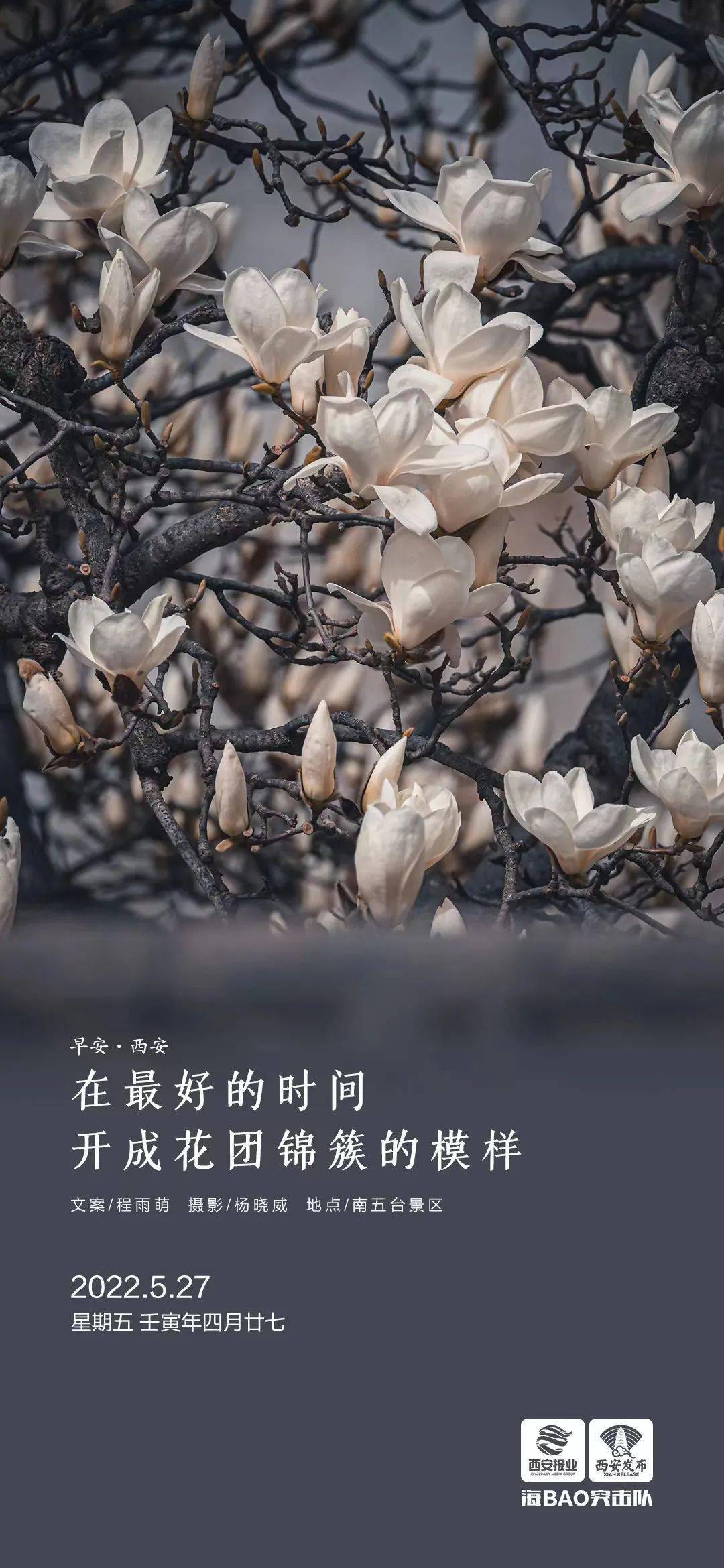 西安发布丨"早安·西安"