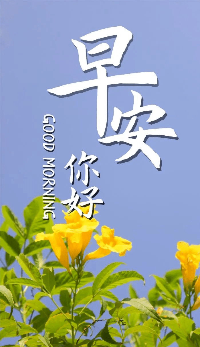 今天最新早上好问候语图片
