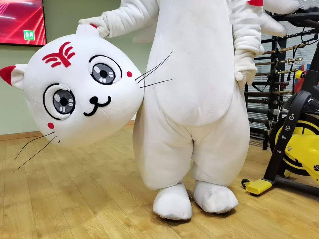 因为今天《驭灵师》停更了一期所以小老虎说它要提头来见你们白白的