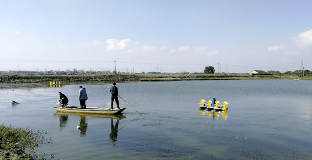 好用不贵的生石灰清塘消毒都用它但苗种入塘后使用也要加小心