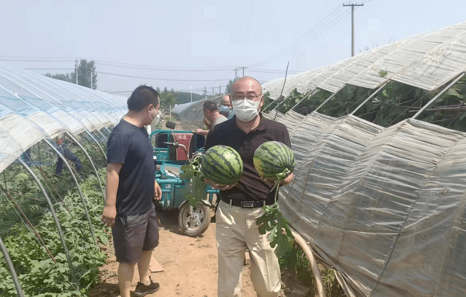 助农战疫李遂镇多举措解决镇域农产品滞销难题
